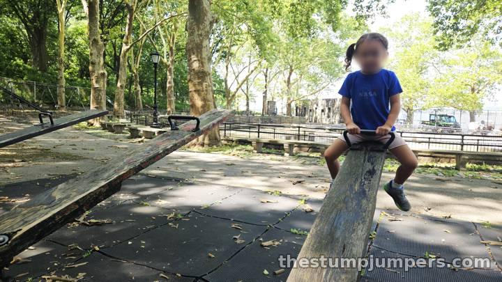 One of the surviving seesaws.