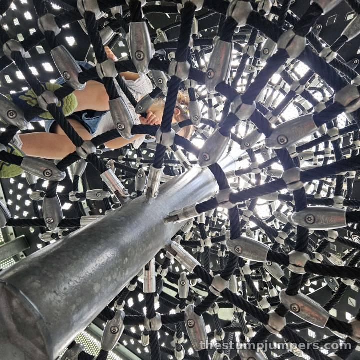 Looking up through the web inside the "vacuum." (Yes, I had to fish her out.)