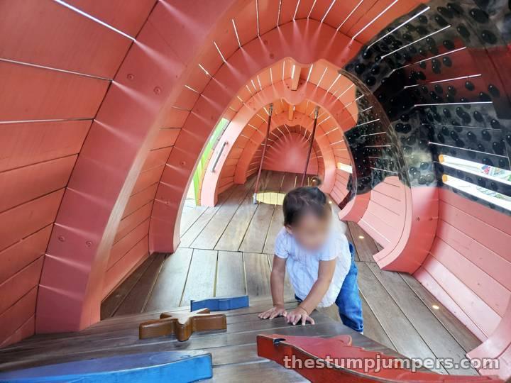 Inside the belly of the fish.