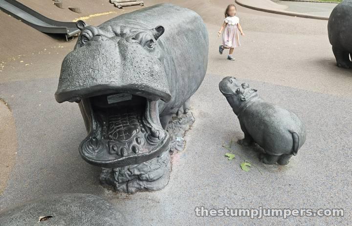 A hippo mid-yawn, with a little one in tow.