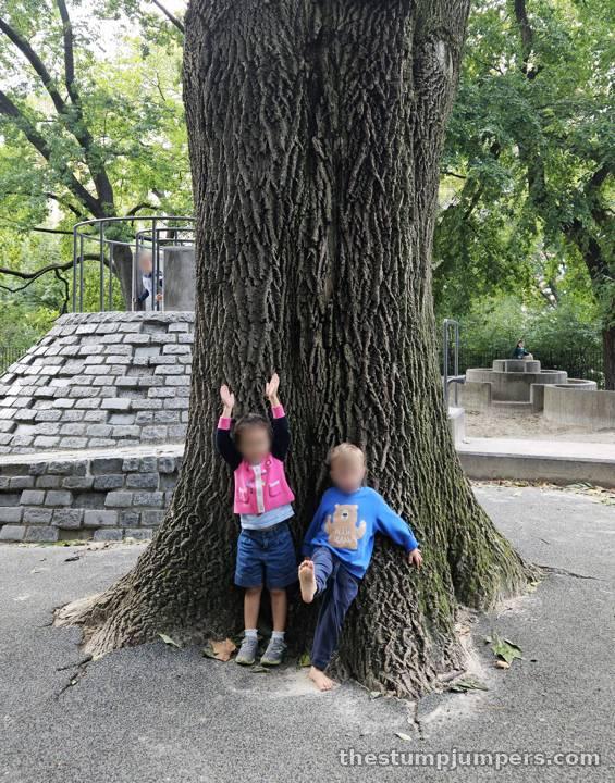 The epic ash tree in the middle of the playground.