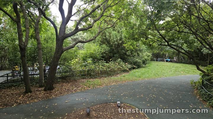 The path through serene Swing Valley.